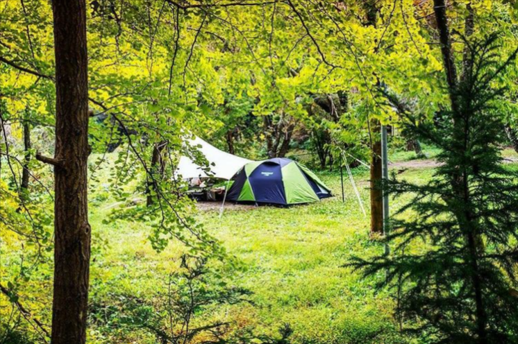 ソロキャンプ用テントの種類・選び方のポイント！おすすめのソロテント 