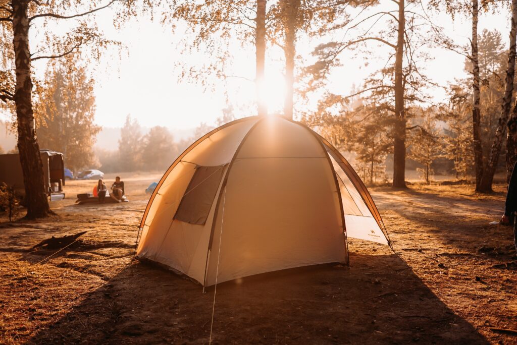 おすすめで人気のキャンプ用ペグ6選！テントやタープの設営に必須なペグの種類や選び方 - Arizine
