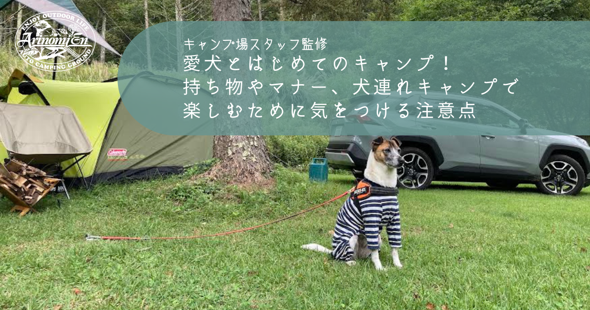 愛犬とはじめてのキャンプ 持ち物やマナー 犬連れキャンプで楽しむために気をつける注意点を徹底解説 Arizine
