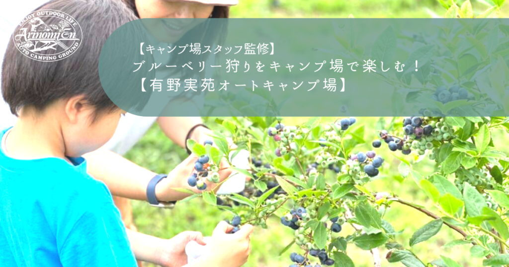ブルーベリー狩りをキャンプ場で楽しむ！【有野実苑オートキャンプ場】