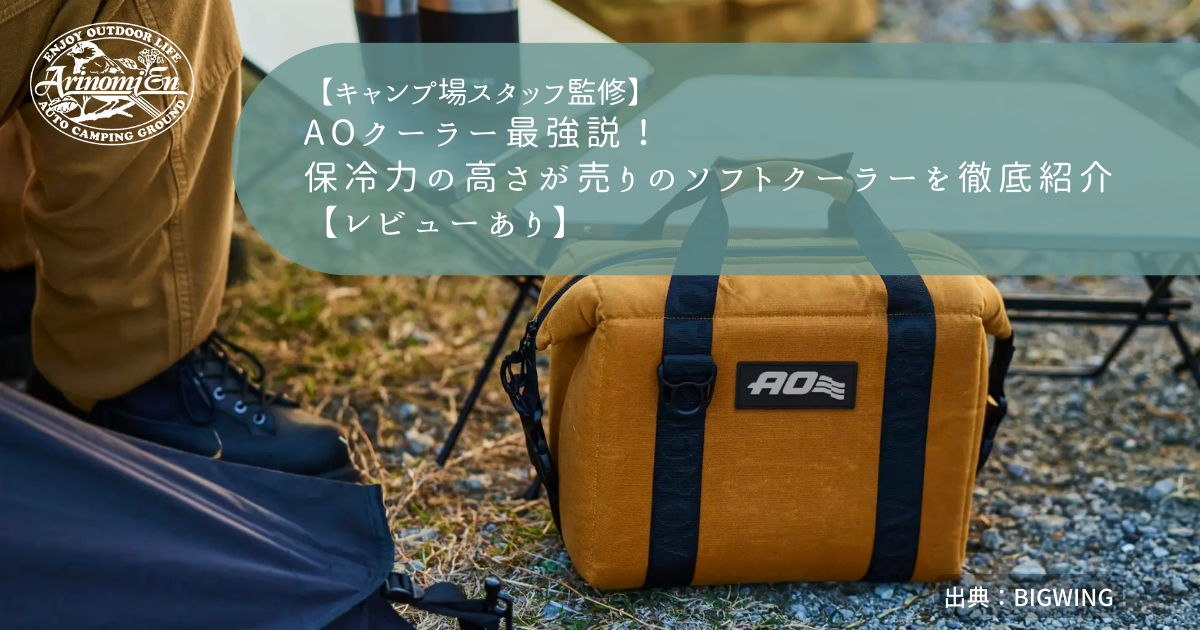 AOクーラー 48パック タン 絡め