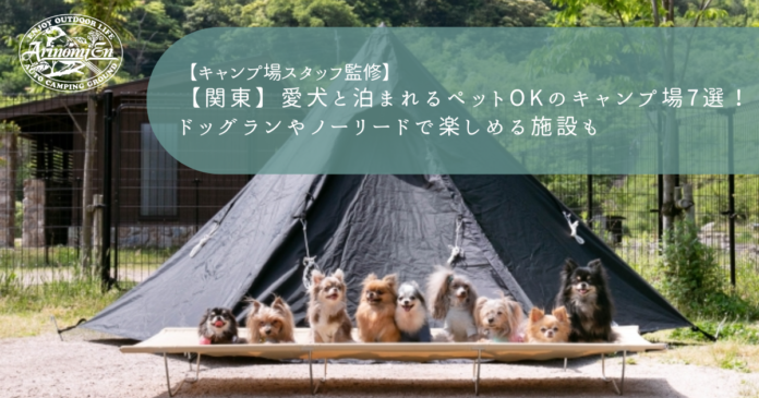 【関東】愛犬と泊まれるペットOKのキャンプ場7選！ドッグランやノーリードで楽しめる施設も