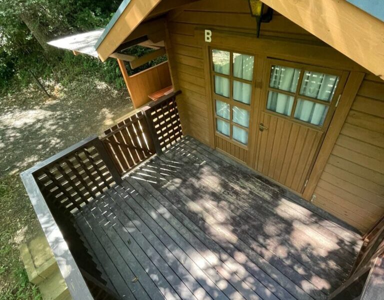 ドッグ＆キッズキャビン