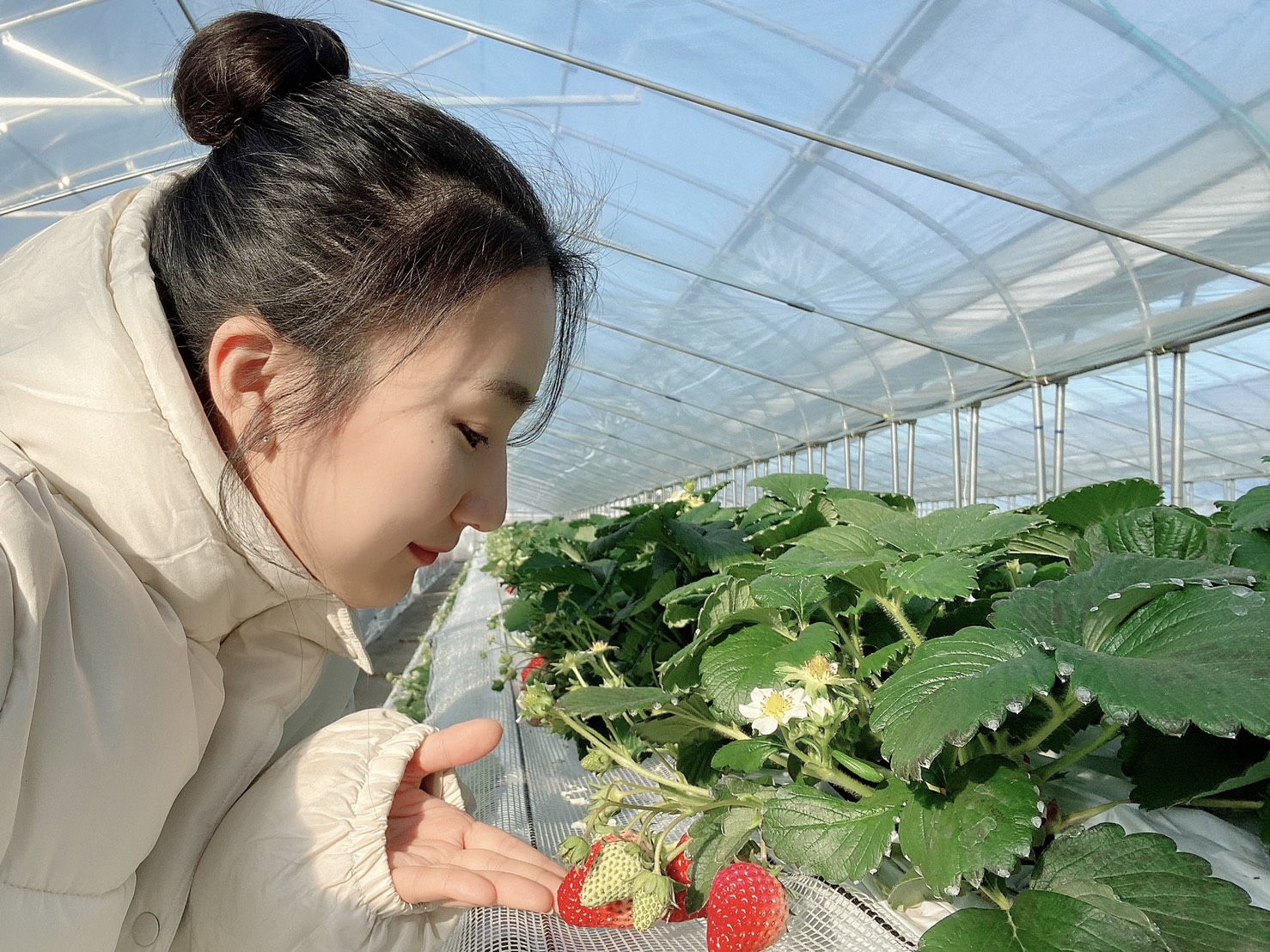 ありのみファーム