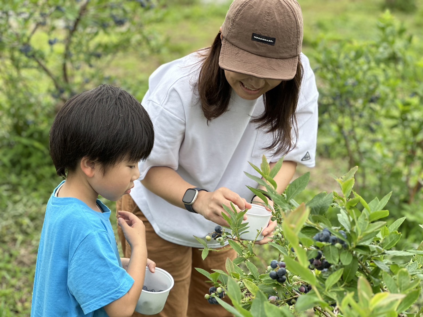 ブルーベリー狩り